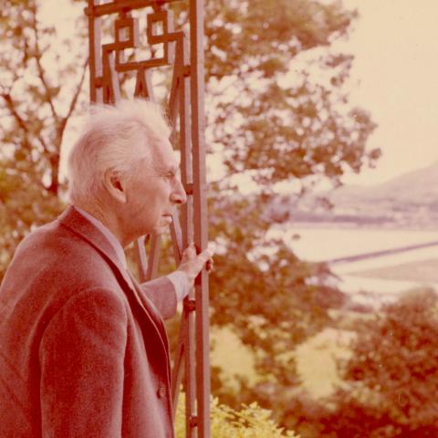 Elderly man gazes out across landscape